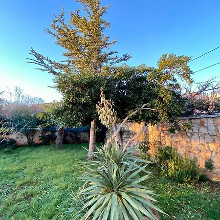 Villa Theresa Donji Zagon