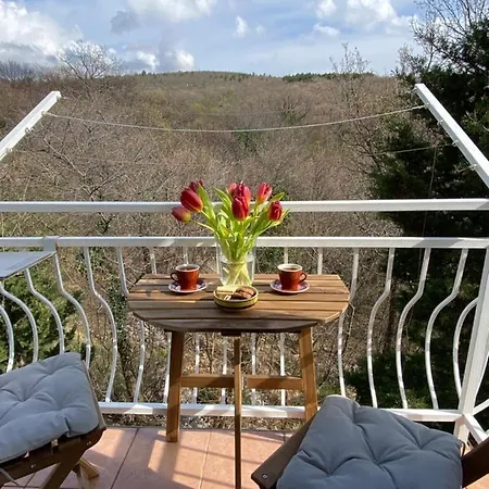 Villa Theresa Donji Zagon
