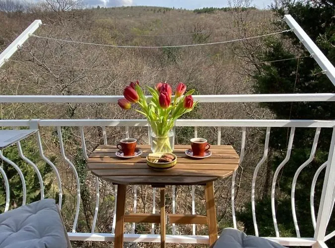 Villa Theresa Donji Zagon